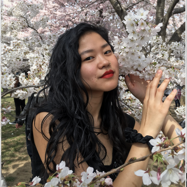 Profile picture for user lsmith